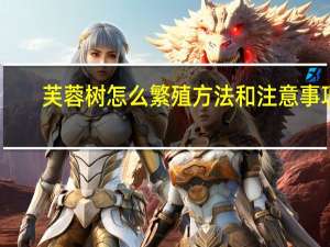 芙蓉树怎么繁殖方法和注意事项