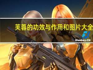 芙蓉的功效与作用和图片大全（芙蓉的功效）