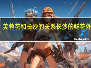 芙蓉花和长沙的关系 长沙的鲜花外卖单