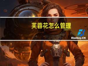 芙蓉花怎么管理