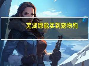 芜湖哪能买到宠物狗