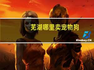 芜湖哪里卖宠物狗