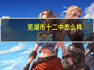 芜湖市十二中怎么样