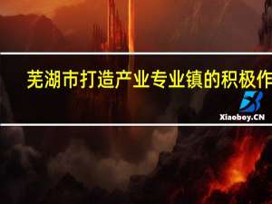 芜湖市打造产业专业镇的积极作用