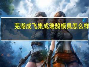 芜湖成飞集成瑞鹄模具怎么样