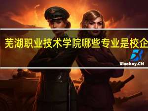芜湖职业技术学院哪些专业是校企合作