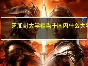 芝加哥大学相当于国内什么大学