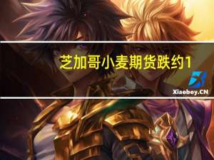 芝加哥小麦期货跌约1.7%投资者关注俄罗斯供应