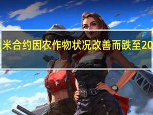 芝加哥期货交易所（CBOT）玉米合约因农作物状况改善而跌至2021年1月4日以来的最低点