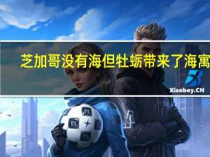 芝加哥没有海但牡蛎带来了海寓意