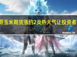 芝加哥玉米期货涨约2%炎热天气让投资者担忧供应面