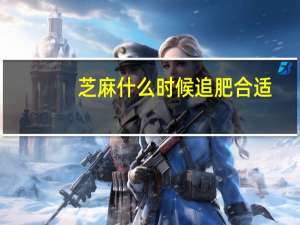 芝麻什么时候追肥合适