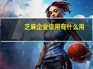 芝麻企业信用有什么用