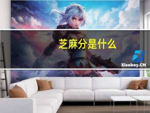 芝麻分是什么