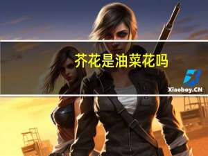 芥花是油菜花吗