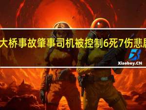 芦淞大桥事故肇事司机被控制 6死7伤悲剧令人揪心