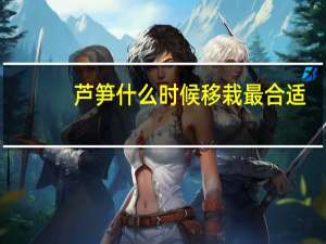 芦笋什么时候移栽最合适