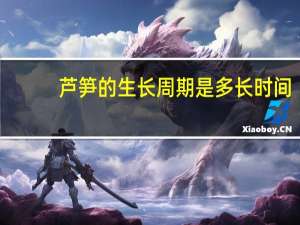 芦笋的生长周期是多长时间