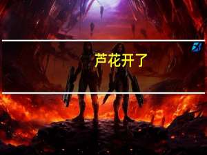 芦花开了(关于芦花开了简述)