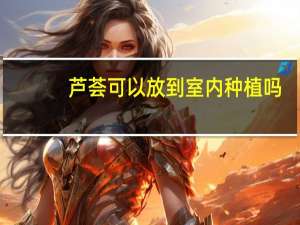芦荟可以放到室内种植吗