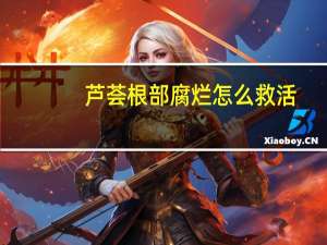 芦荟根部腐烂怎么救活