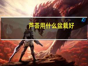 芦荟用什么盆栽好