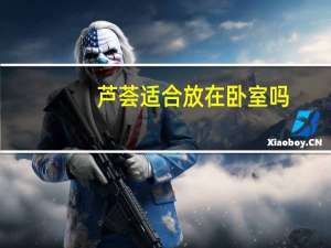 芦荟适合放在卧室吗