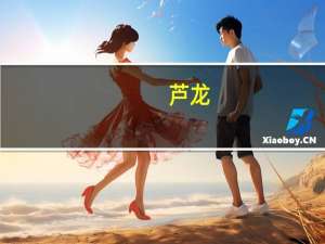 芦龙(关于芦龙简述)