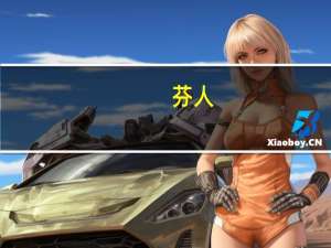 芬人(关于芬人简述)