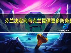 芬兰决定向乌克兰提供更多防务援助