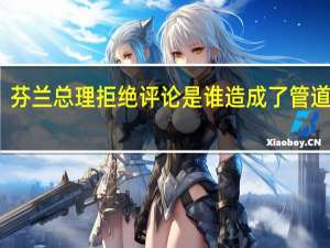 芬兰总理拒绝评论是谁造成了管道损坏