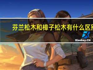 芬兰松木和樟子松木有什么区别