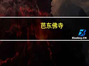 芭东佛寺(关于芭东佛寺简述)