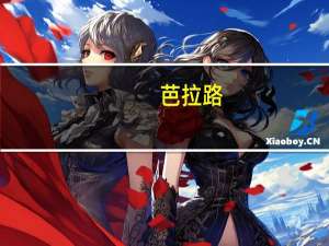 芭拉路(关于芭拉路简述)
