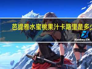 芭提雅 水蜜桃果汁卡路里是多少