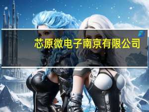 芯原微电子 南京有限公司(关于芯原微电子 南京有限公司简述)