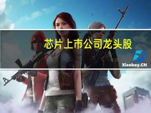 芯片上市公司龙头股