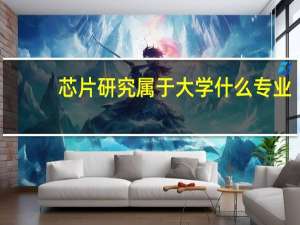 芯片研究属于大学什么专业