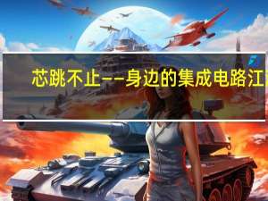 芯跳不止——身边的集成电路江湖(关于芯跳不止——身边的集成电路江湖简述)