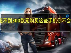 花不到300欧元购买这些手机你不会后悔的