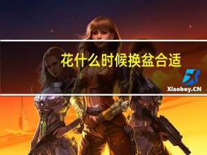 花什么时候换盆合适