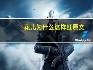 花儿为什么这样红原文