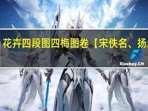 花卉四段图四梅图卷【宋 佚名、扬无咎】(关于花卉四段图四梅图卷【宋 佚名、扬无咎】简述)