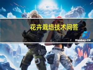 花卉栽培技术问答(关于花卉栽培技术问答简述)