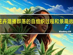 花卉混播群落的自组织过程和景观效果研究(关于花卉混播群落的自组织过程和景观效果研究简述)