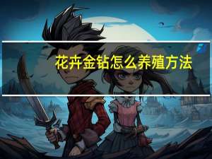 花卉金钻怎么养殖方法