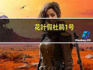 花叶假杜鹃1号(关于花叶假杜鹃1号简述)