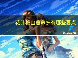 花叶艳山姜养护有哪些要点