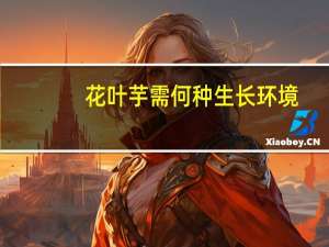 花叶芋需何种生长环境？
