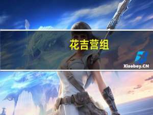 花吉营组(关于花吉营组简述)